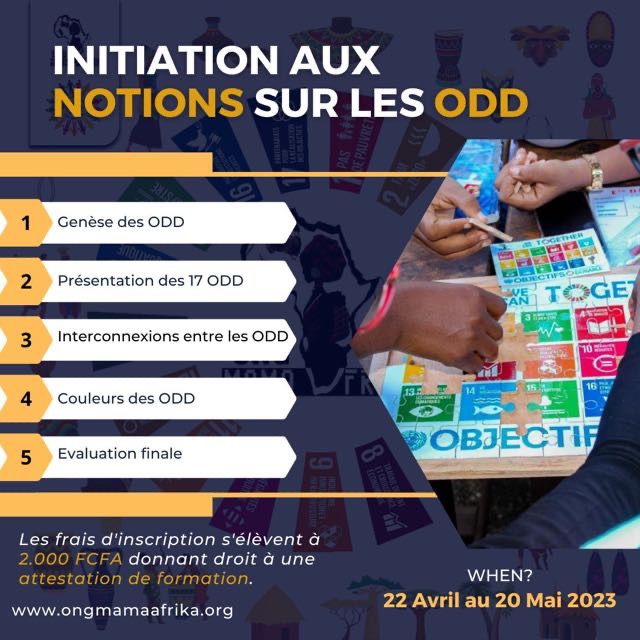 Read more about the article Formation ODD: Initiation aux notions sur les ODD
